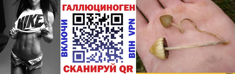 Псилоцибиновые грибы MAGIC MUSHROOMS  Олонец 